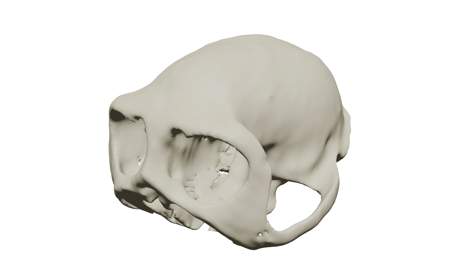 Decoding How the Past Shapes Our Future